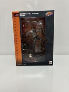 G.E.M.シリーズ 家庭教師ヒットマンREBORN! 沢田綱吉 リボーン