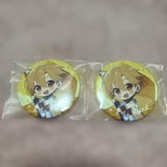 すとぷり　るぅと　2023アリツア後半デフォ　缶バッジ　35個 すとぷり るぅと くん アリツア 後半 缶バッジ 缶バ 旗持ち デフォ
