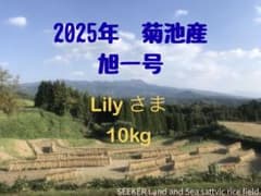 Lily様　旭一号米 10kg 2025年産 Lily様 旭一号米 10kg 2025年産 - メルカリ