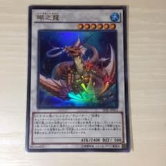 瑚之龍 コーラルドラゴンのサムネイル