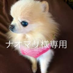 オーガニックアマランサスのサムネイル
