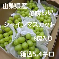 1️⃣5️⃣ 山梨県産 シャインマスカット 8房入り 箱込約5.5キロ