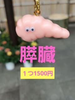 膵臓　手作り　臓器　キーホルダー　看護 膵臓 手作り 臓器 キーホルダー - メルカリ