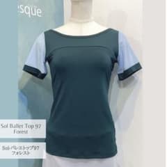 【200円値下げしました】ジュエレスク トップス Lサイズのサムネイル