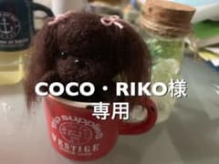 COCO・RIKA様専用のサムネイル