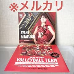 バレーボール女子日本代表 北窓絢音 トレーディングmini色紙 箔押しのサムネイル