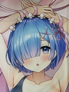 【新品】 レム スク水 Re:ゼロから始める異世界生活 抱き枕カバーのサムネイル