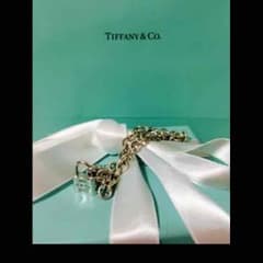 専用出品  TIFFANY&CO  パドロック ネックレスのサムネイル