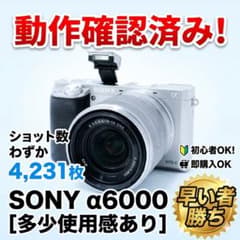 スマホ転送OK✨SONY α6000 レンズキット 届いてすぐ使える！ スマホ転送OK✨SONY α6000 レンズキット 届いてすぐ使える！ - メルカリ