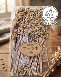 兵庫県産 鳥好き農家が育てたオーツ麦 穂付き インコのエサ 1kg 兵庫県産 鳥好き農家が育てたオーツ麦 穂付き インコのエサ200g - メルカリ