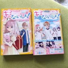 キミにはないしょ! 2巻セットのサムネイル