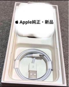 Apple 순정 USB-A to Lightning 케이블 1m 신품 미사용