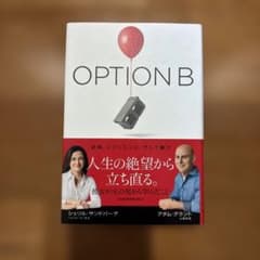 OPTION B : 逆境、レジリエンス、そして喜びのサムネイル