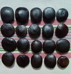 石垣島産モダマ　傷あり２０個セットのサムネイル