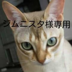 ジムニスタ様専用 ヒステリックグラマー ガールポロシャツのサムネイル