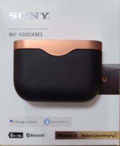 [充電器のみ]　SONY  ワイヤレス イヤホン WF1000XM3のサムネイル
