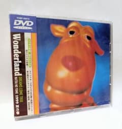 DREAMS COME TRUE Wonderland 1999 夏の夢 DVD - メルカリ