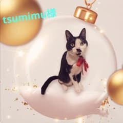 アルビオン エクシア リプラント ホワイトニングクリーム 5g×2個 〈10g