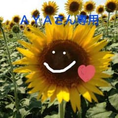 最終値下げ インテグレート ファンデーションのサムネイル