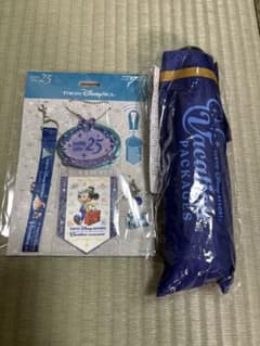 (専用)東京ディズニーシー 25周年 バケーションパッケージ グッズセットのサムネイル