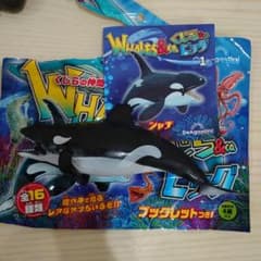 ホエールアンドコー　シャチ　未使用品のサムネイル