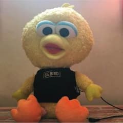 ビックバード コムサイズムのサムネイル