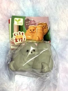 どっちも主役！ポメラニアン ぶらっく　カプセルトイ　ガチャガチャのサムネイル