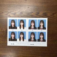 平松悠乃 証明写真 seju 8枚セットのサムネイル
