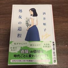 処女の道程のサムネイル