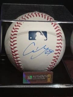 ケース付き！LA 大谷翔平 佐々木朗希 山本由伸 直筆サインボール MLB