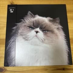 訳あり】カネコアヤノ レコード燦々 重量盤 - メルカリ