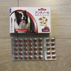 アンチノール　犬用　40カプセル　開封済みのサムネイル