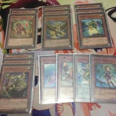 遊戯王 霊獣デッキのサムネイル