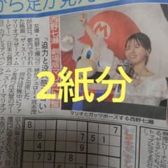 니시노 나나세 영화 슈퍼 마리오 브라더스 더 무비 재팬 프리미어 출석 신문 기사