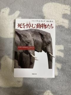 死を悼む動物たちのサムネイル