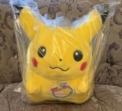 新品、ポケモン30周年記念おかえり!ピカチュウ1/1のサムネイル