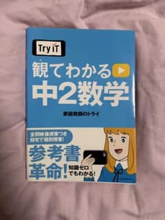 観てわかる中2数学 Try ITのサムネイル