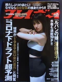 週刊プレイボーイ 2020 no.44 表紙 深田恭子さんのサムネイル