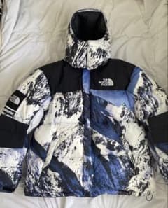 Supreme The North Face ダウンジャケット Lのサムネイル
