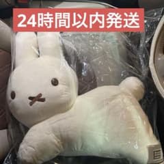 m74781663333_1.jpg?1762594936