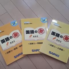 中学受験SAPIX小学4年生対象　国語の要その１のサムネイル