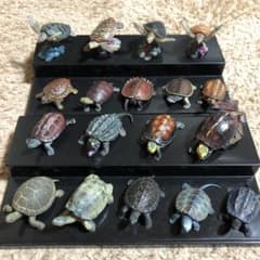 亀フィギュア１８個セットのサムネイル