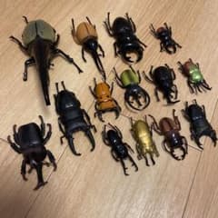 カブトムシ クワガタ おもちゃのサムネイル