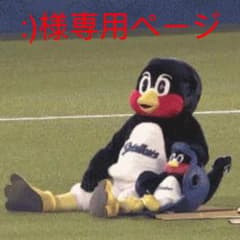 専用ページのサムネイル
