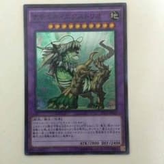[値段交渉OK]遊戯王 ナチュルエクストリオのサムネイル