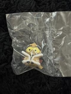 호크스 히로아카냥코
