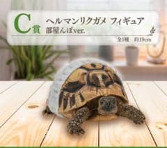이치 반 쿠지 파충류 & 양서류 2 헤르만릭 거북이 피규어 룸포 ver.