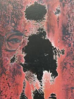 星野真吾、【我果】、希少な額装用画集より、新品額装付、状態良好 m74801835732_1.jpg?1698031808