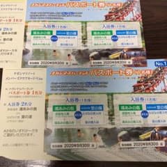 ナガシマスパーランド パスポート　2枚のサムネイル