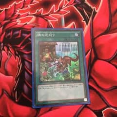 遊戯王 隣の芝刈りのサムネイル